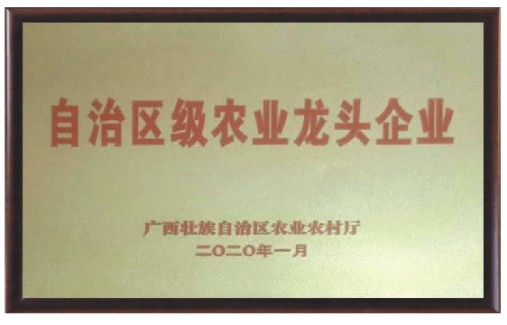 自治區龍頭企業(yè)